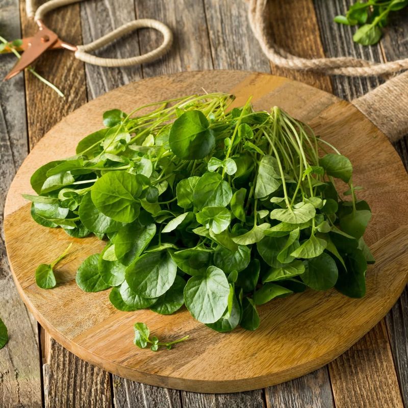 Watercress