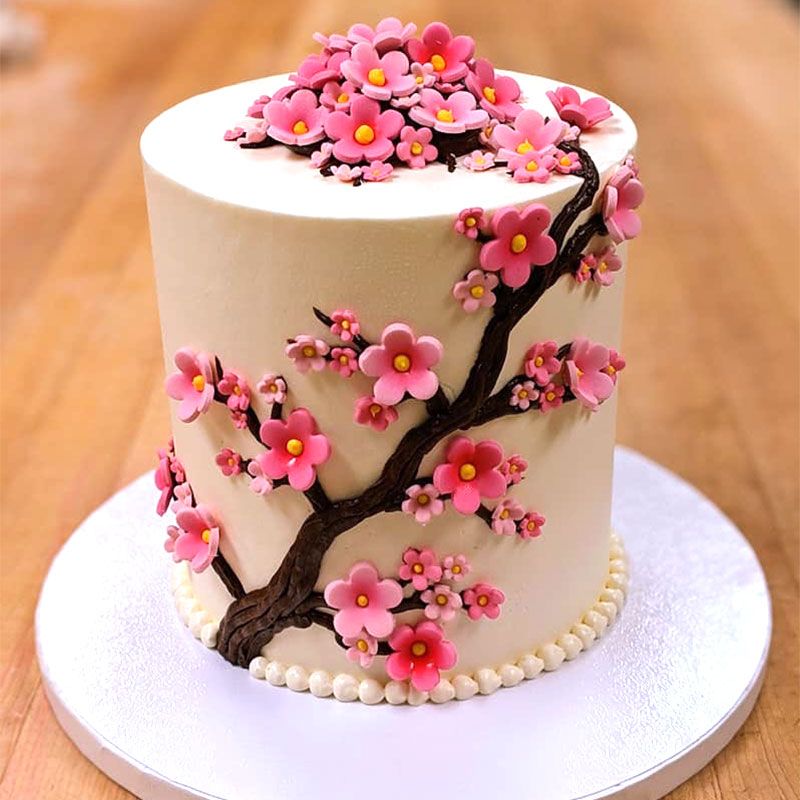 Cherry Blossom Fantasy