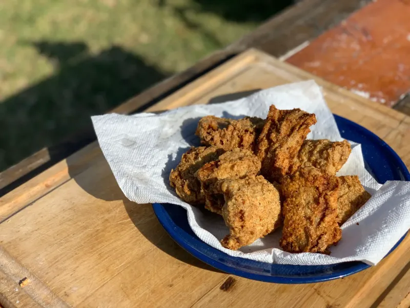 Oklahoma – Fried Rattlesnake