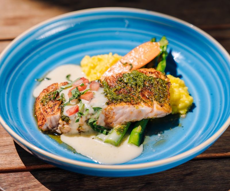 Pacific Salmon