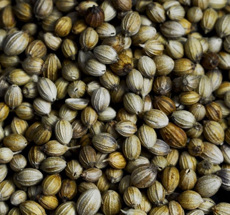 Coriander Seeds