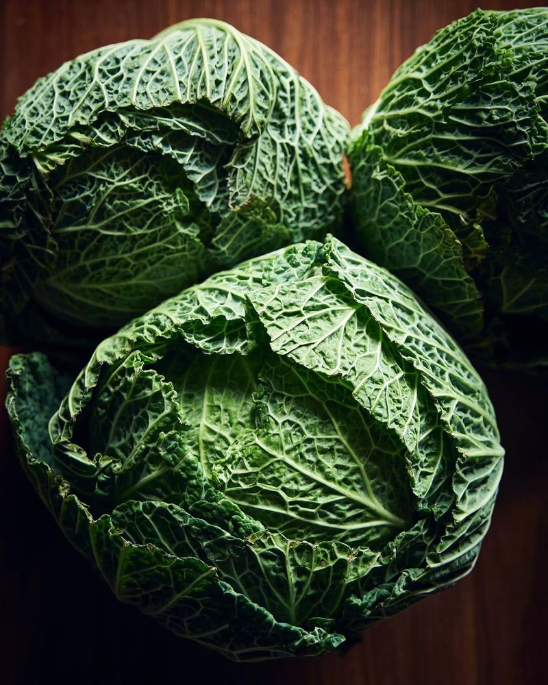 Cabbage