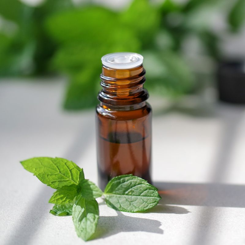 Peppermint Extract