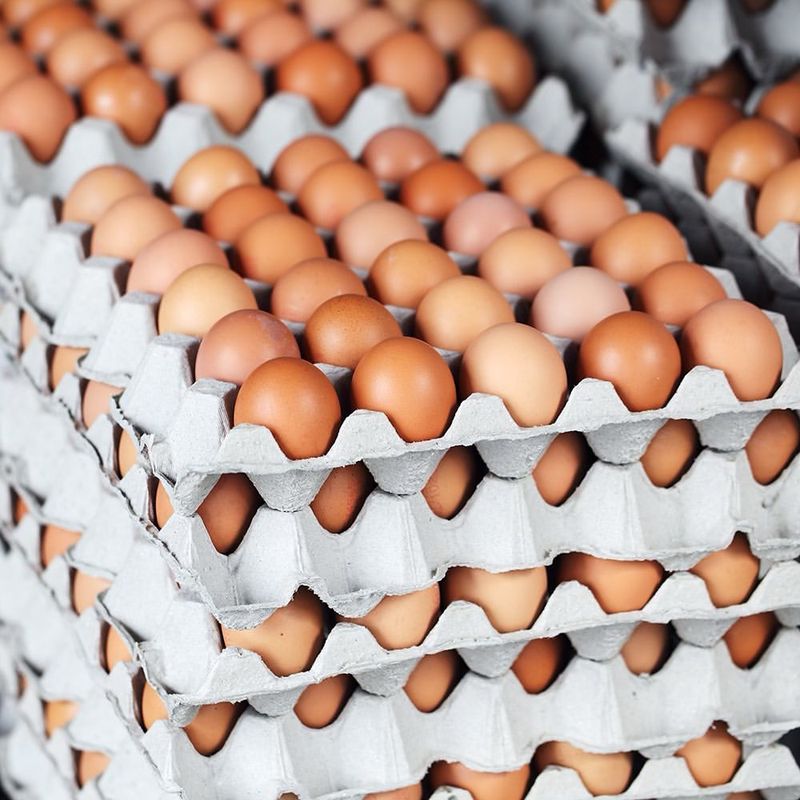 Eggs