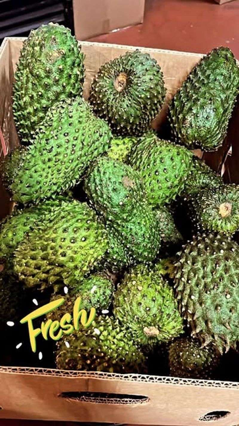 Soursop Salsa