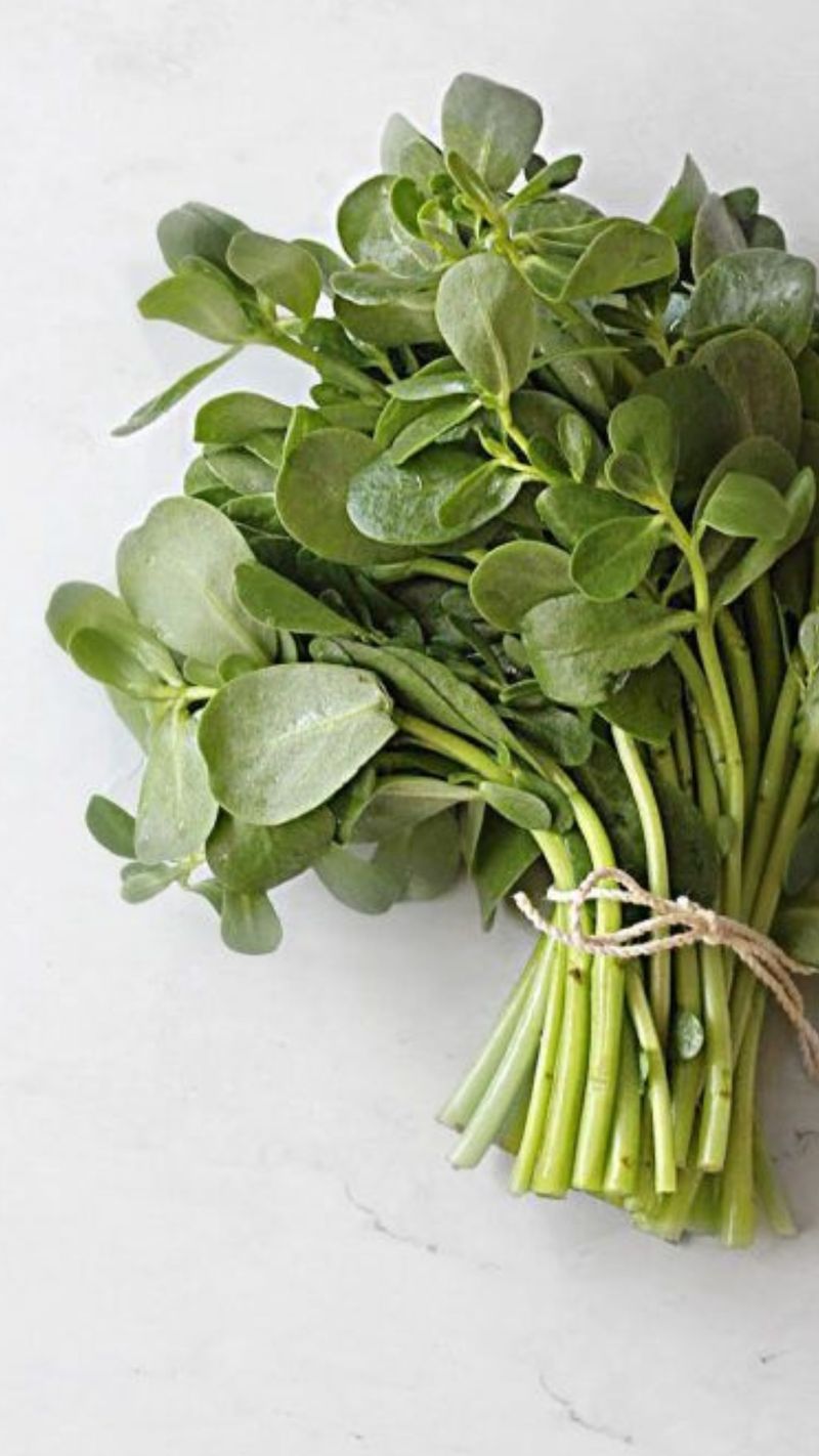 Purslane