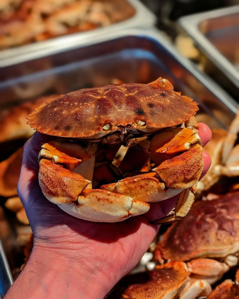 Jonah Crab