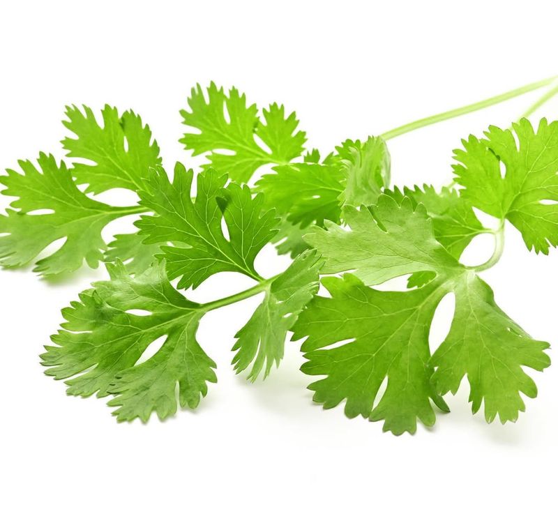 Parsley