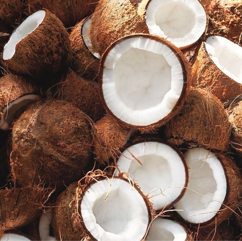 Coconut & Coconut Oil