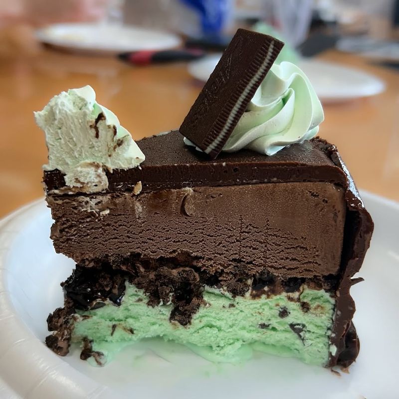 Mint Chocolate Chip Ice Cream Cake