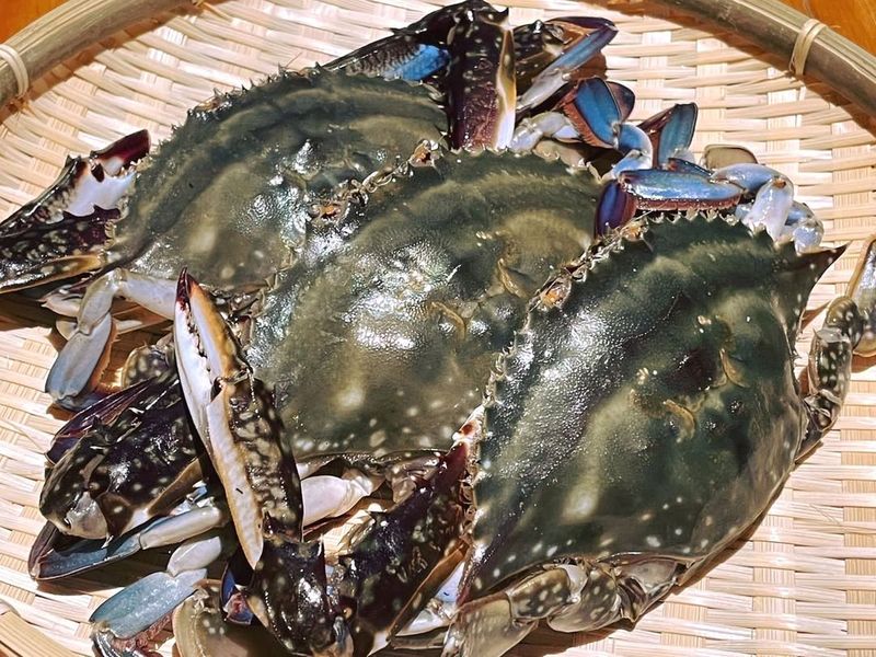 Japanese Blue Crab