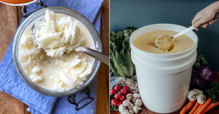 Why Did Beef Tallow Fall Out Of Favor?