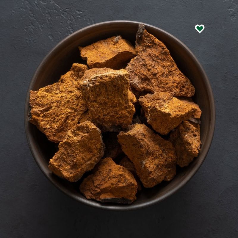 Chaga