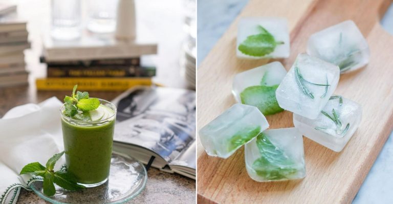 best ways to use fresh mint