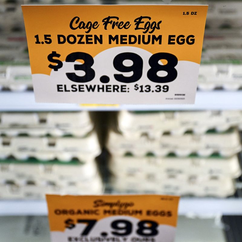 Eggs Gone Wild
