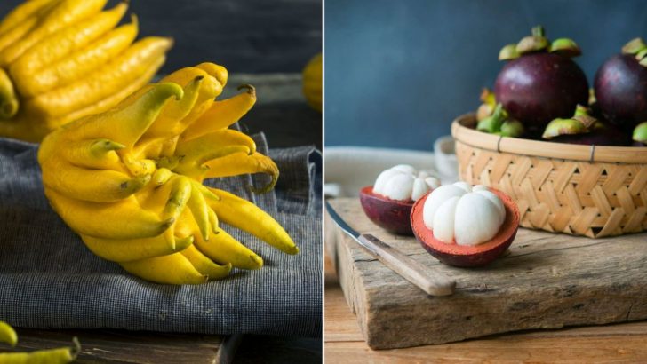 15 Exotic Fruits That Are Tough To Find In America