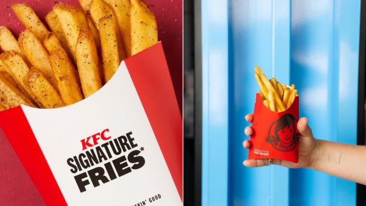 15 Fast Food Chains That Serve The Most Fries: Who’s Winning The Fry Game