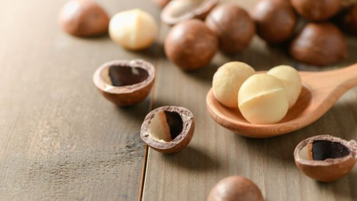15 Health Benefits Of Macadamia Nuts + 5 Tasty Ways To Use Them