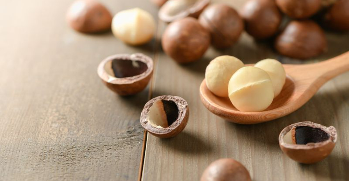 macadamia nuts and their health benefits