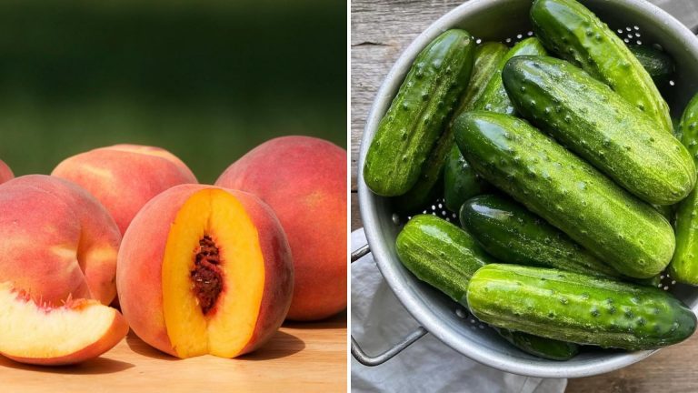 hydrating foods