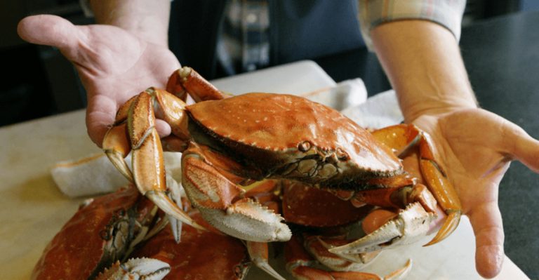 American seafood