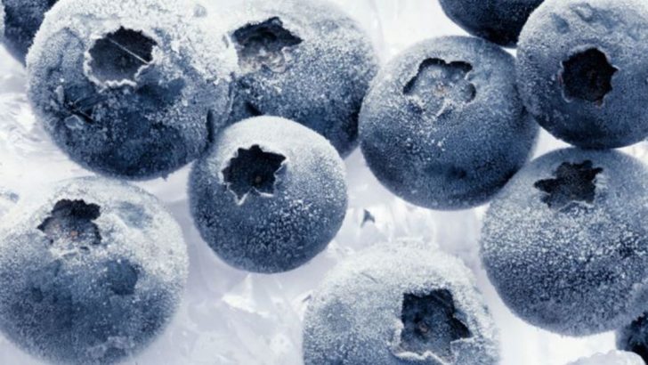 15 Surprising Benefits Of Freezing Blueberries You Didn’t Know About