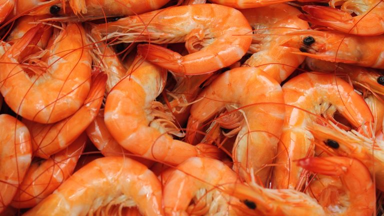16 Mistakes You Should Stop Making When Cooking Shrimp