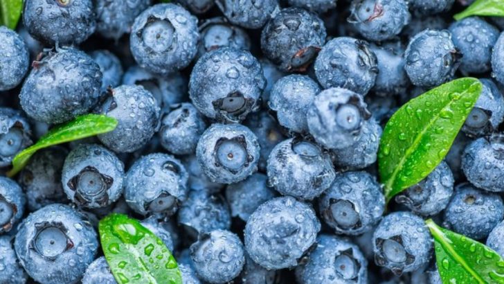 20 Delicious Foods That Are High In Antioxidants