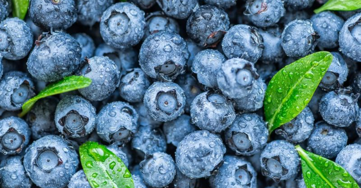 simple foods rich in antioxidants