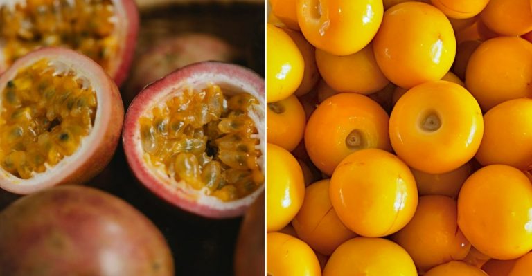 world's most colorful and flavorful exotic fruits