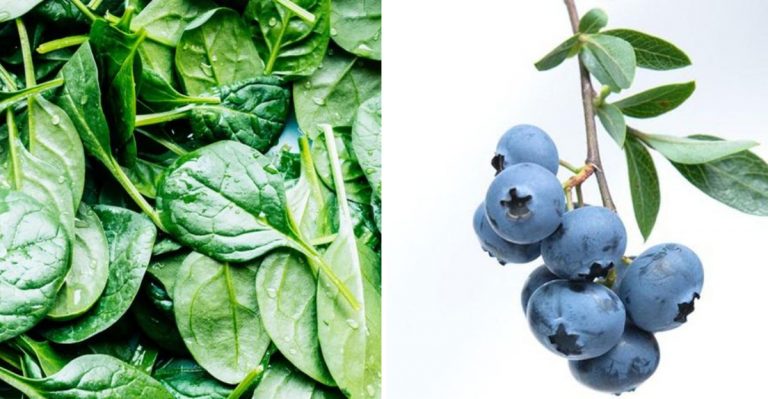 20 Foods That Are Basically Nature’s Multivitamin