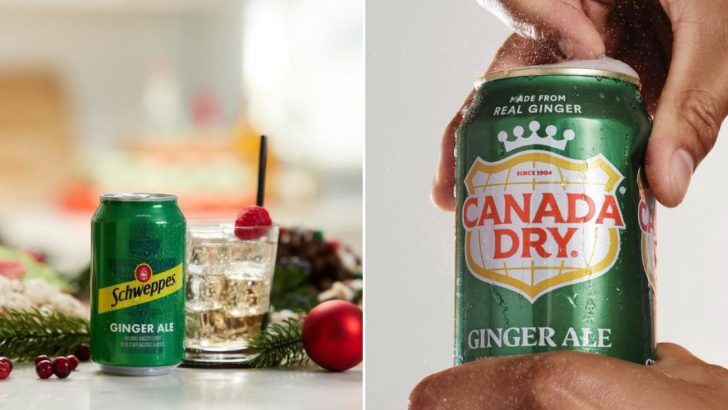 20 Ginger Ales, Ranked From Worst To Best