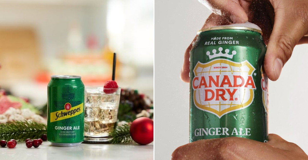 different brands of ginger ale