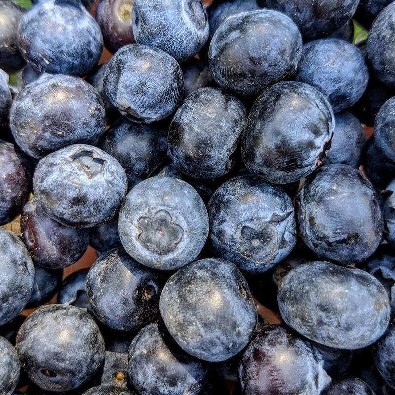Blueberries