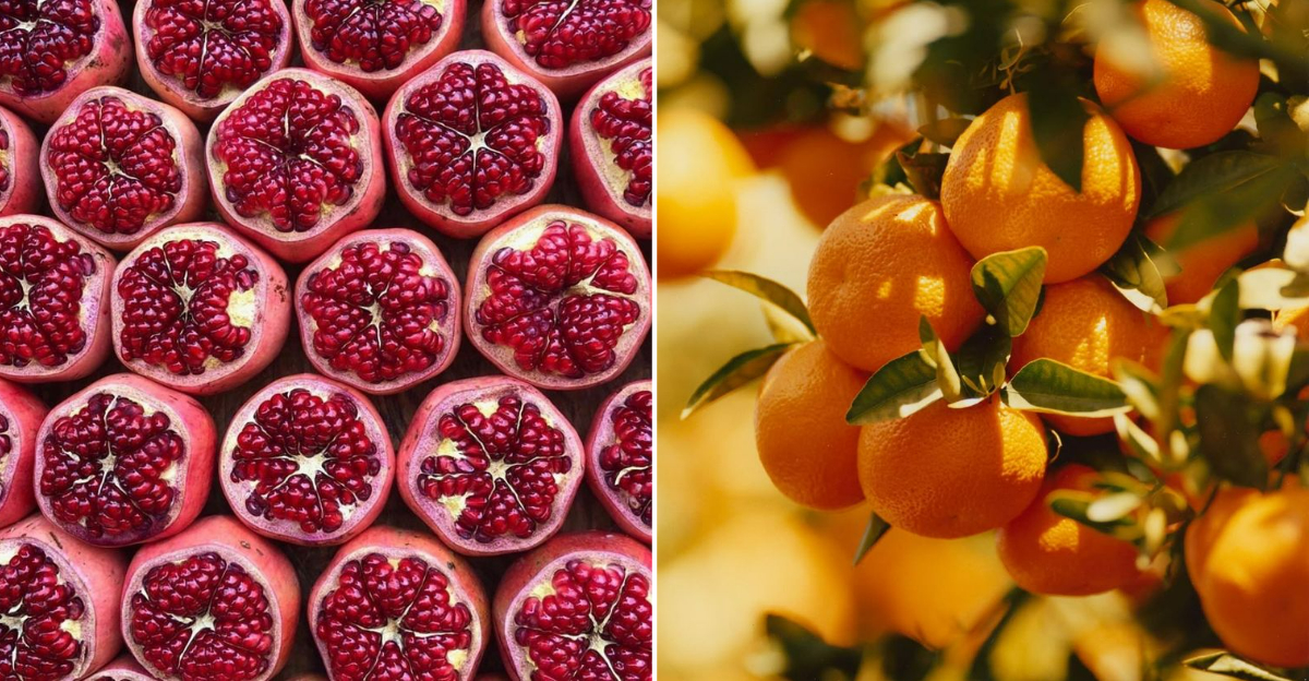 absolute healthiest fruits you can eat