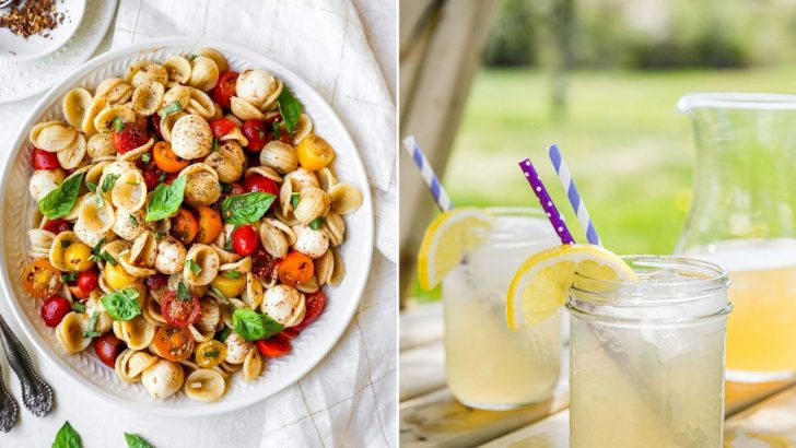 20 Picnic Recipes So Good You’ll Forget The Blanket