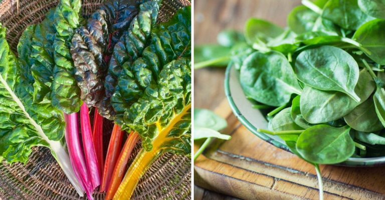 magnesium packed veggies