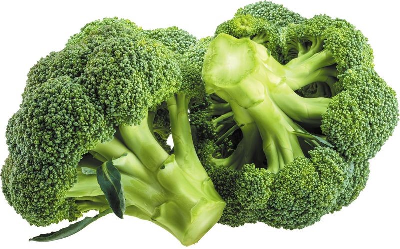 Broccoli: The Mighty Green Champion