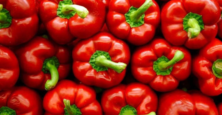 9 Vegetables You Should Include In Your Daily Meals And 9 To Skip
