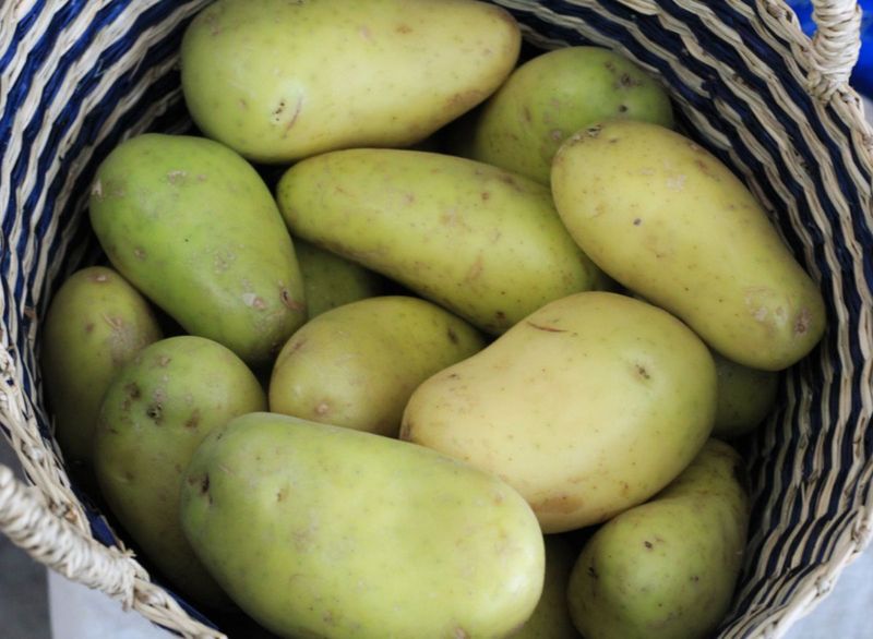 Green Potatoes