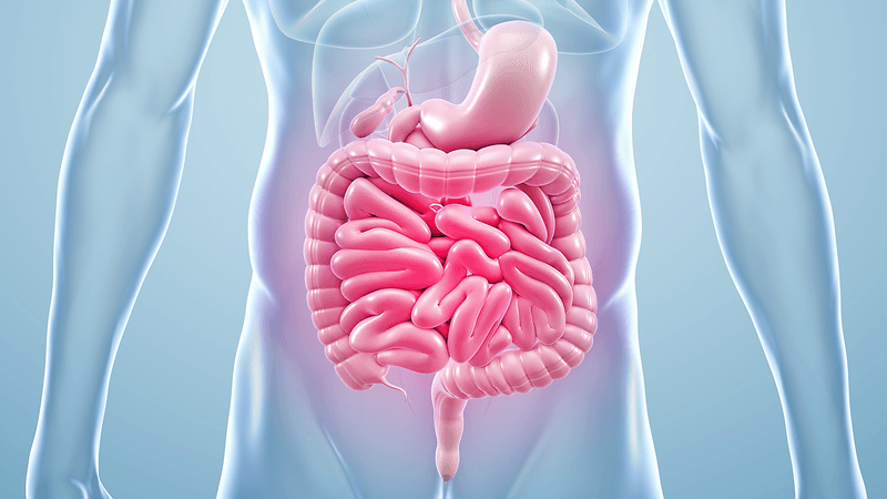 Improves Gut Health