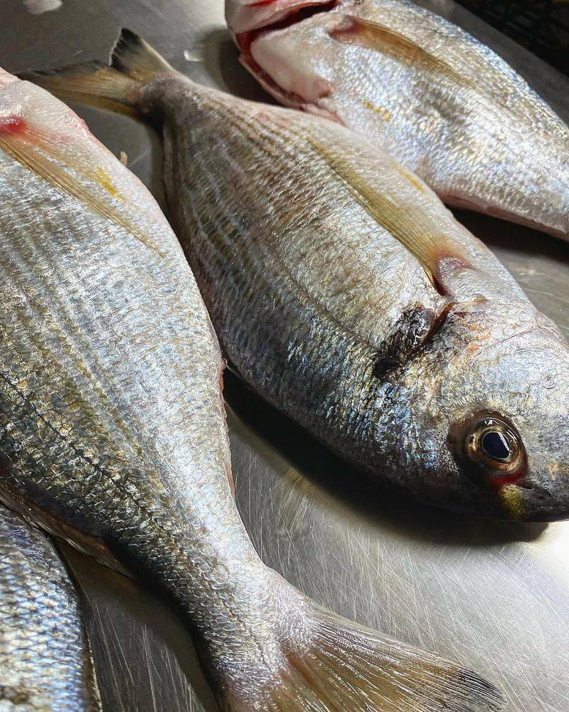 BEST: B Vitamins (Meats, Fish)