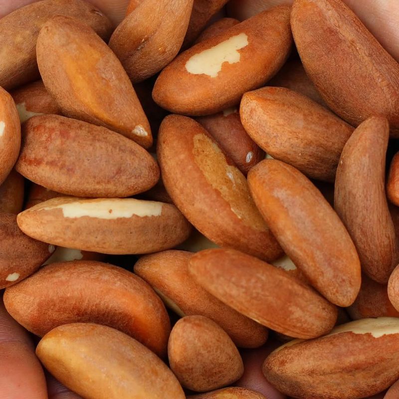 BEST: Brazil Nuts