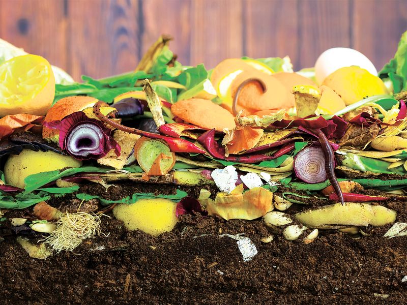 Try Composting