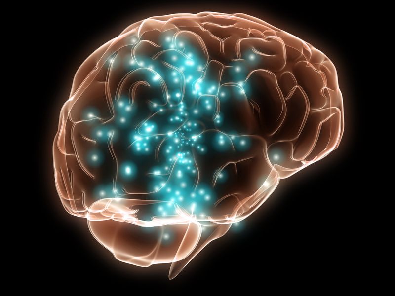Supports Brain Function