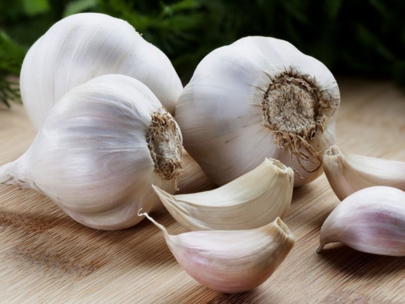 Garlic: The Mighty Immune Booster