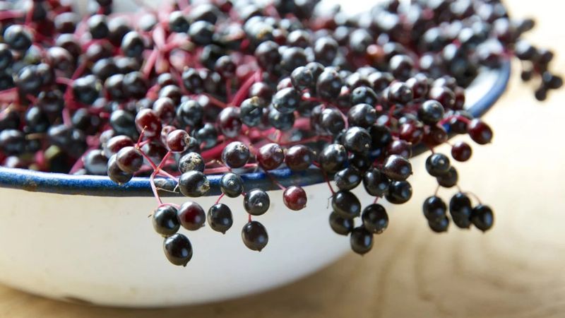 Elderberries (Unripe Or Raw)