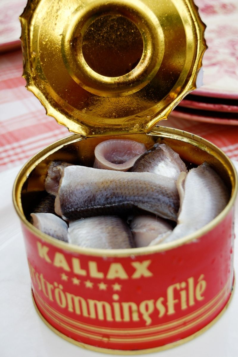 Surströmming From Sweden (AVOID)