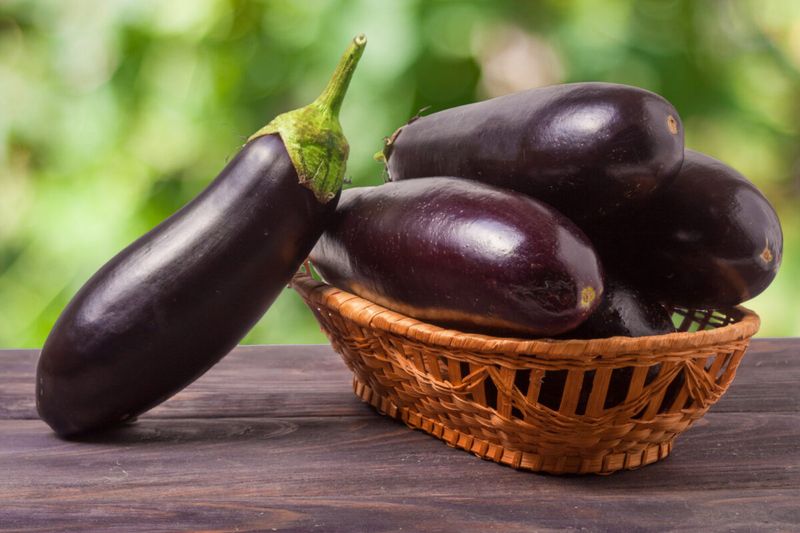 Conventional Eggplant: The Nightshade Nuisance