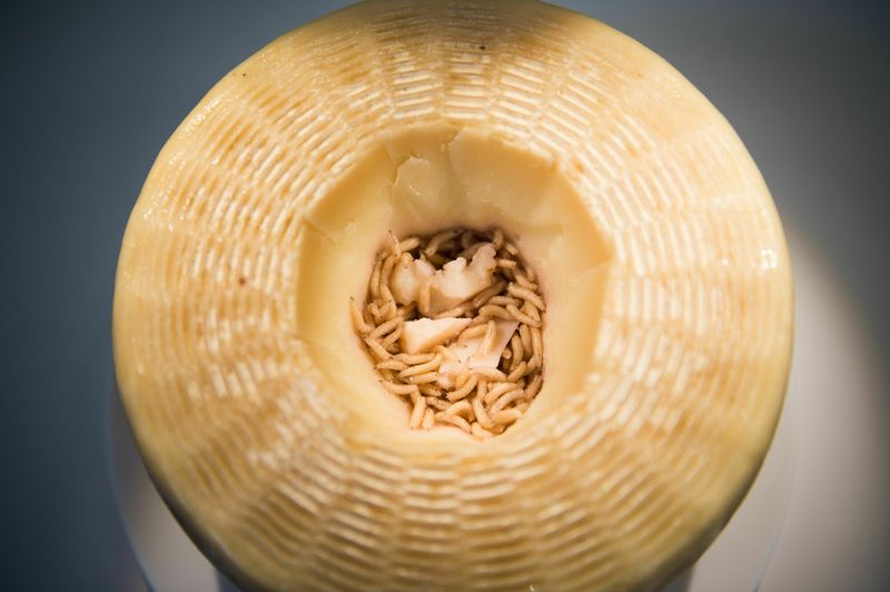 Casu Marzu From Sardinia (AVOID)